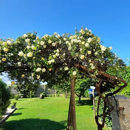 Casa vacanze Galets Et Bois Flottés Proche Gold Meublé De Tourisme 4 étoiles *