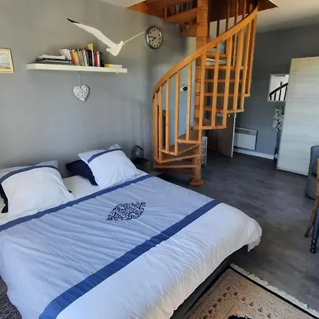 Galets Et Bois Flottés Proche Gold Meublé De Tourisme 4 étoiles