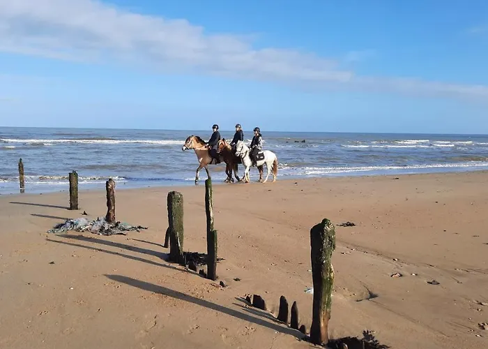 Galets Et Bois Flottes Proche Gold Meuble De Tourisme 4 Etoiles Prázdninový dům